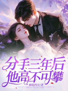 分手三年后，他高不可攀完整目录在线阅读 (宋清婉霍庭琛) 大结局无弹窗