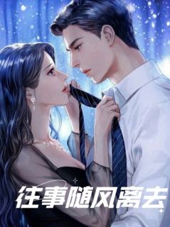 往事随风离去