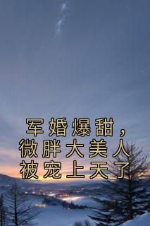 军婚爆甜,微胖大美人被宠上天了