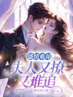 《盛情难却:夫人又撩又难追》完结版免费阅读 《盛情难却:夫人又撩又难追》最新章节目录