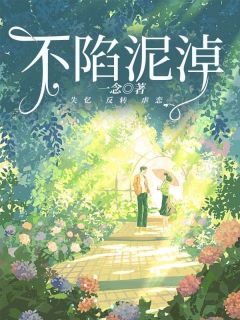 《不陷泥淖》时盼江时叙楚南全文免费阅读