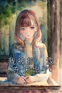 我被抓,汉东天塌了