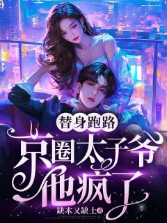 替身跑路,京圈太子爷他疯了