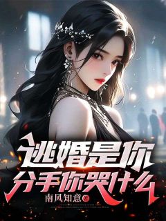 《逃婚是你，分手了你哭什么》小说大结局在线阅读 张若楠叶淮舟小说全文