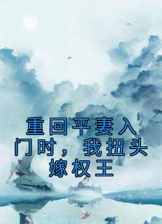 重回平妻入门时,我扭头嫁权王
