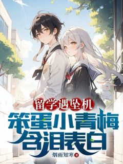 留学遇坠机,笨蛋小青梅含泪表白