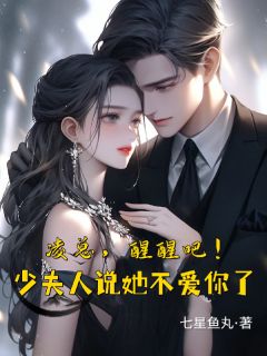 凌总醒醒吧!少夫人说她不爱你了