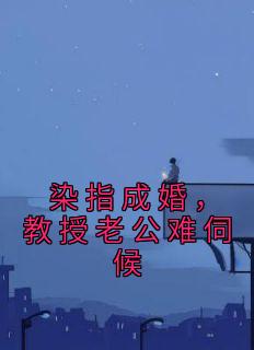 染指成婚,教授老公难伺候