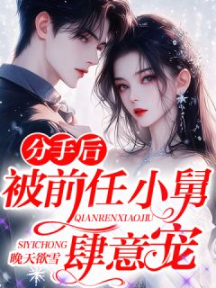分手后,被前任小舅肆意宠苏棉周煊by晚天欲雪完整在线阅读