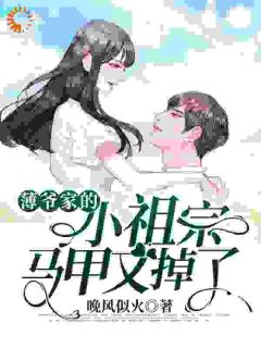 赵婶九音by晚风似火无防盗章在线阅读