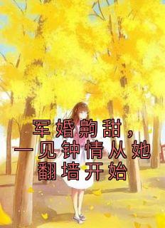 军婚齁甜,一见钟情从她翻墙开始