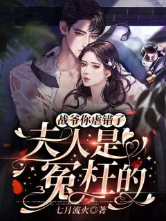 战爷你虐错了,夫人是冤枉的