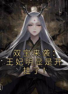 双宝来袭:王妃明显是开挂了!