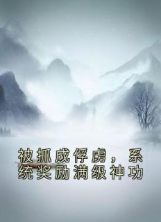 被抓成俘虏,系统奖励满级神功