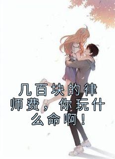 《几百块的律师费，你玩什么命啊！》小说章节目录免费阅读 苏青柏李雨蓁小说阅读