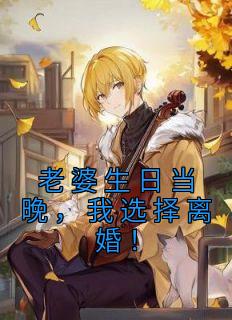 老婆生日当晚,我选择离婚!