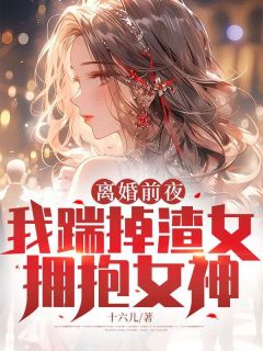 《离婚前夜,我踹掉渣女拥抱女神》陆扬徐心瑶章节目录免费试读