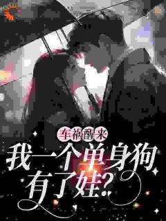 车祸醒来,我一个单身狗有了娃?