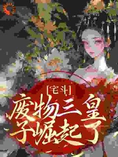 宅斗:废物三皇子崛起了