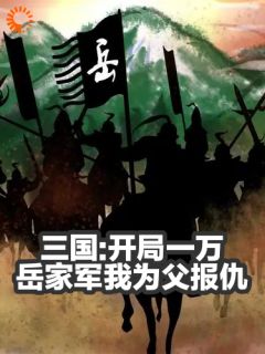 三国:开局一万岳家军我为父报仇