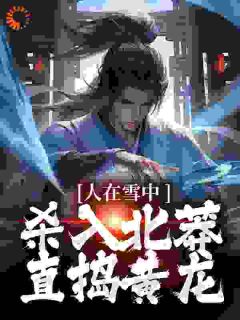 人在雪中,杀入北莽,直捣黄龙全本资源 徐归麟徐晓完整未删减版