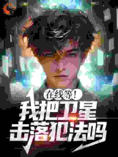 在线等!我把卫星击落犯法吗