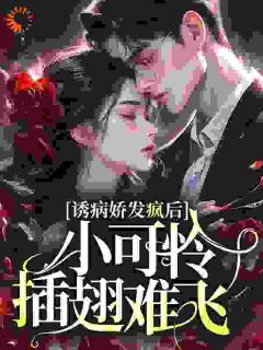 诱病娇发疯后,小可怜插翅难飞