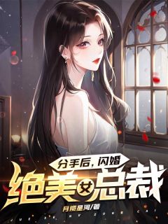 分手后，闪婚绝美女总裁全本资源 叶枫杨倩倩精彩章节未删减版