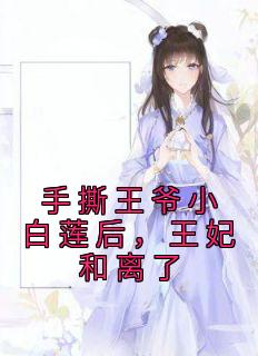 《手撕王爷小白莲后,王妃和离了》小说免费阅读 司若南谢渊小说大结局免费试读