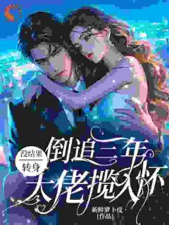 《倒追三年没结果,转身大佬揽入怀》梁瓷时宴全文免费阅读