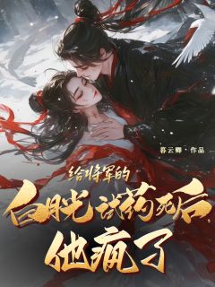 《朝中人都说沈大将军的父亲是我爹害死的》小说大结局在线阅读 洛芷柔沈枫小说阅读