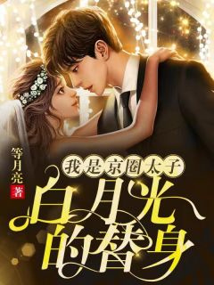 我是京圈太子白月光的替身褚甜傅彦 我是京圈太子白月光的替身免费阅读