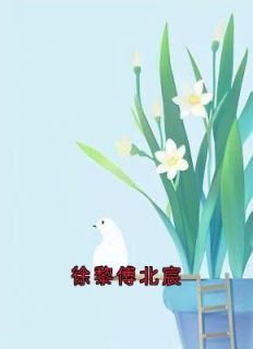 《徐黎傅北宸》徐黎傅北宸免费试读