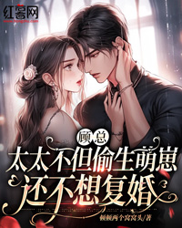 顾总，太太不但偷生萌崽还不想复婚完整目录在线阅读 (乔诗颜顾泽景) 大结局无弹窗
