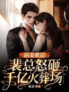 秦霜裴湛全文目录 前妻难追.裴总怒砸千亿火葬场免费章节阅读