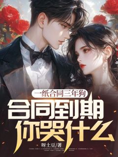 《一纸合同三年狗林如烟王云峰》王云峰林如烟全文免费试读