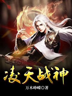 凌天大陆,星辰皆有战灵叶峰南宫凌霜小说精彩内容在线阅读