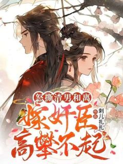 《怒撕渣男和离,嫁奸臣高攀不起》小说全文精彩阅读 苏绛雪陆焕小说阅读