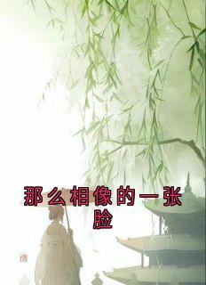 那么相像的一张脸连载中 那么相像的一张脸在线阅读