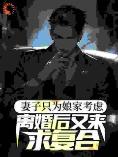 妻子只为娘家考虑,离婚后又来求复合全文精彩章节在线阅读(陈天放龙小玉陈恩恩)