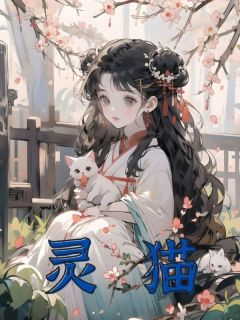 灵猫小说 贵财大丫在线阅读