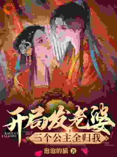 开局发老婆,三个公主全归我!李天泽萧暮雪 开局发老婆,三个公主全归我!在线阅读