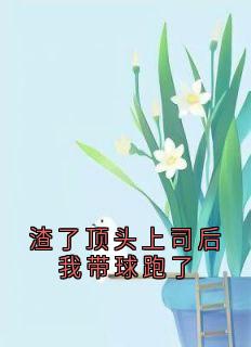 《渣了顶头上司后我带球跑了》小说全文精彩章节免费试读(舒白沈彦)