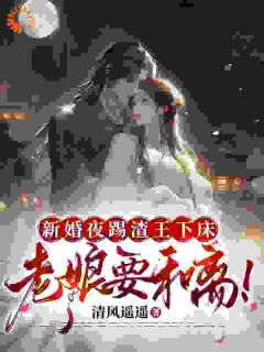 新婚夜踢渣王下床,老娘要和离!