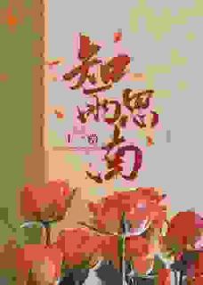 《知雨思南》小说完结版免费阅读 沈知雨陆斯南小说全文