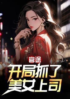 官途:开局抓了美女上司