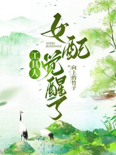 工具人女配觉醒了免费阅读 项黎元止的小说在线阅读