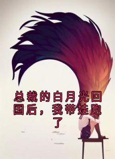 总裁的白月光回国后,我带娃跑了