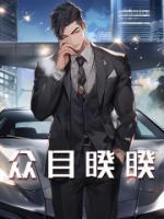 《众目睽睽》完结版在线阅读 《众目睽睽》最新章节目录