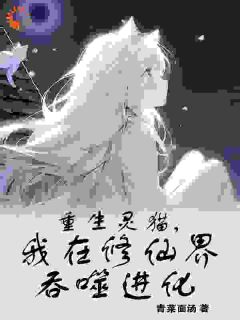 重生灵猫,我在修仙界吞噬进化